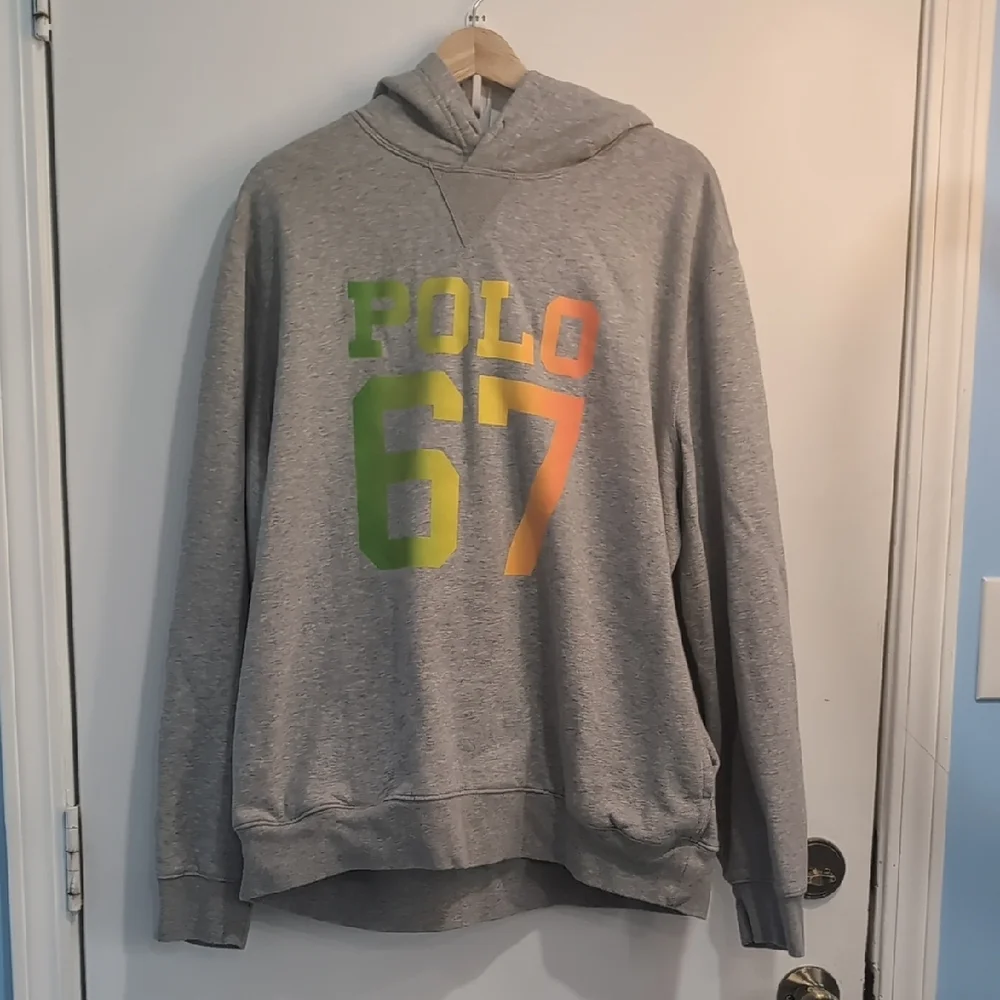 Polo by Ralph Lauren Logo Hoodie Gray Colorful 